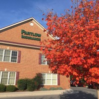 Partlow Insurance Agency, Inc. logo - Similar company to Kinga Safety, Inc.