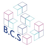 Blueprint Consultancy Services logo - Similar company to Thinktank Consultancy Services