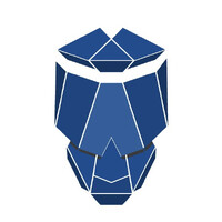 Wise Skulls logo - Similar company to Markevolve