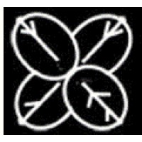 TLS Healthcare Partners logo - Similar company to Verso Circle
