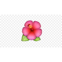 Tahitian.Dance logo - Similar company to Institut National Supérieur Des Arts Du Spectacle Et Des Techniques De Diffusion (Insas)