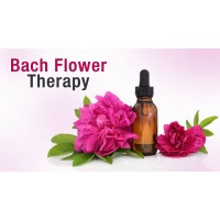Floral Therapy logo - Similar company to Multicheck