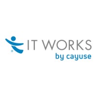 Information Technology Works, Inc.
