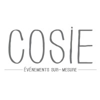 Cosie logo - Similar company to Cosy Design