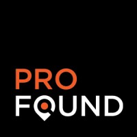 PROFOUND logo - Similar company to Bisdone