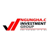 NGUNGHA.C INVESTMENT GROUP logo - Similar company to Mwinda Group Consulting