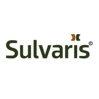 Sulvaris Inc logo - Similar company to Mdo Data Online Inc.