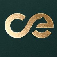 CONCERTA International Consulting logo - Similar company to Certis – Controlo E Certificação, Lda