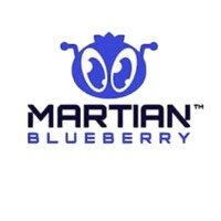 Martian Blueberry logo - Similar company to Lion Forge Labs