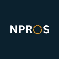 Niche Pros RPO logo - Similar company to Flamber
