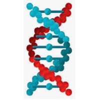 Medical Catalyst, LLC logo - Similar company to Pratico Lab
