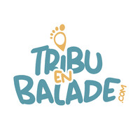Tribuenbalade.com logo - Similar company to Coqo