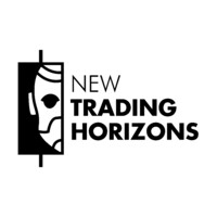 New Trading Horizons logo - Similar company to Durdanto Studio