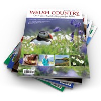 Welsh Country Magazine logo - Similar company to Gather No Moss Design