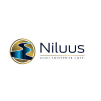 Niluus Asset Enterprise Corp. logo - Similar company to Diversely.Io (Acquired By The Access Group 2023)