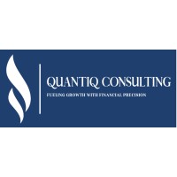 Quantiq Consulting logo - Similar company to Writaholics
