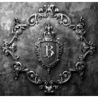 BITCOIN LIMITED logo - Similar company to Bitcoin