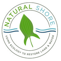 Natural Shore Technologies, Inc. logo - Similar company to Action Restore