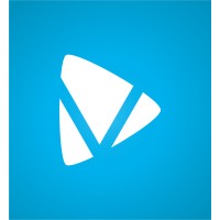 VideoVision logo - Similar company to Videovets