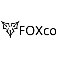 FOX & COMPANY SOLUTIONS logo - Similar company to Berteig Consulting Inc.