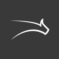 OrthoLynx logo - Similar company to Technosoft Innovations Inc.