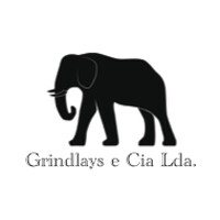 Grindlays e Cia LDA logo - Similar company to Suez Capital Lda