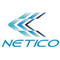 Netico logo - Similar company to Netheon