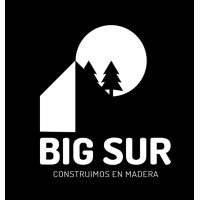 BIG Sur logo - Similar company to Arksmart