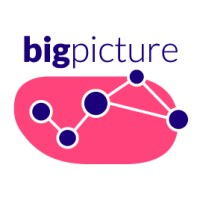 Bigpicture logo - Similar company to Cytomine