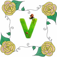 Blockchain Vegans logo - Similar company to Onestopmining