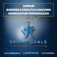 Bright Goals Training & Coaching logo - Similar company to Solveo Solutions