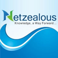 NetZealous-LLC logo - Similar company to Netzealous