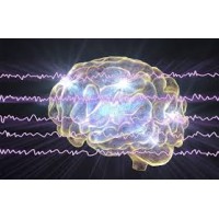 Brainwave Boulevard logo - Similar company to S. Goel Bearing & Co.