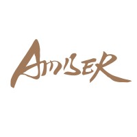 Amber China logo - Similar company to Past|Next® 去来传播