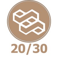 20/30Service logo - Similar company to Btic Group