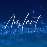 AMLERT Consulting logo - Similar company to Cygnus Account Information Service Provider Uab