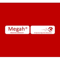 Megah Medical logo - Similar company to Deepvision
