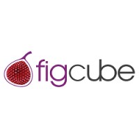 Figcube Solutions logo - Similar company to Bizapt Solutions