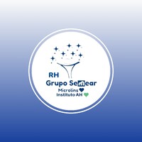 Grupo Semear logo - Similar company to Imodari