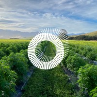 Puro New Zealand logo - Similar company to Bluelab