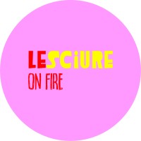 Lesciureonfire logo - Similar company to Dmc Digital Motor Control Gmbh