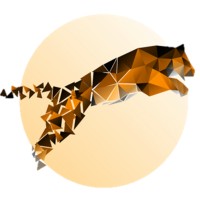 Media Tiger Marketing Solutions logo - Similar company to Hunterim