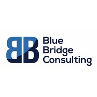 Blue Bridge Consulting Inc. logo - Similar company to Recon Si Doje