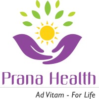 Prana Health logo - Similar company to Prana Healthcare Staffing