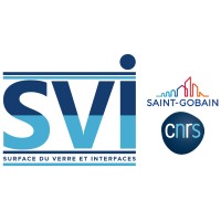 Laboratoire Surface du Verre et Interfaces (SVI) / Surface and interfaces of glass logo - Similar company to Biofaction Kg