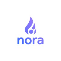 IT Nora - Software Development & Staffing Solutions logo - Similar company to Querétaro Software Development