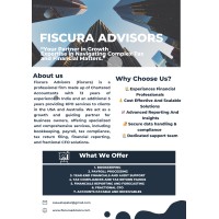 Fiscura Advisors logo - Similar company to Accmark Consultancy