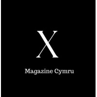Xcellence Business Magazine logo - Similar company to Mission Diverse