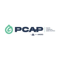 Puente Comercial Andes Pacífico logo - Similar company to Grupo Andes