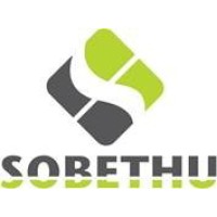 Sobethu Consulting logo - Similar company to Token Hunt